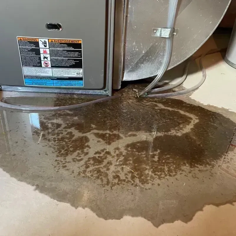 Appliance Leak Cleanup in Mandeville, LA